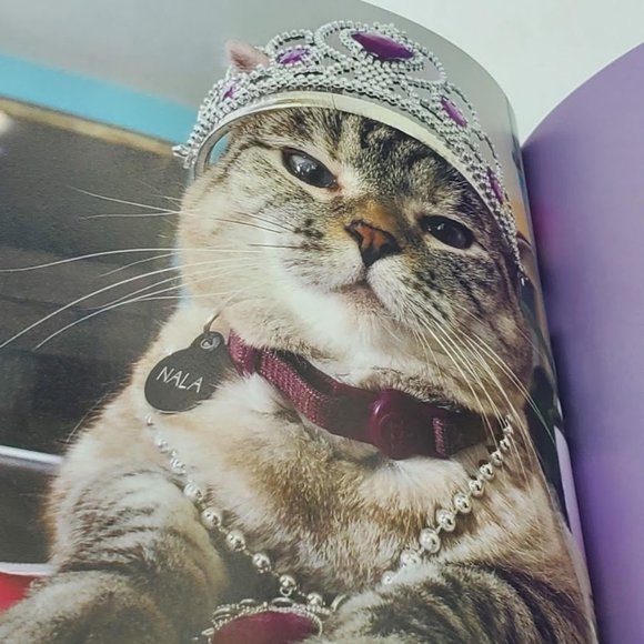 New Living Your Best Life According to Nala Cat by Nala Cat (2020, Hardcover) - Picture 6 of 7